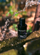 🏆 4 PERFUMES SAUVAGE, ONE MILLION, INVICTUS, 212 VIP BLACK MAS 1 PERFUMERO RECARGABLE  🏆