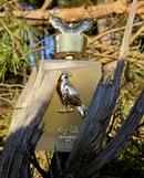 ✨ SHAHEEN GOLD ESTUCHE DE LUJO 🏆