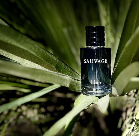 🏆 Paco Rabanne ONE MILLION, Dior SAUVAGE y Paco Rabanne INVICTUS🏆